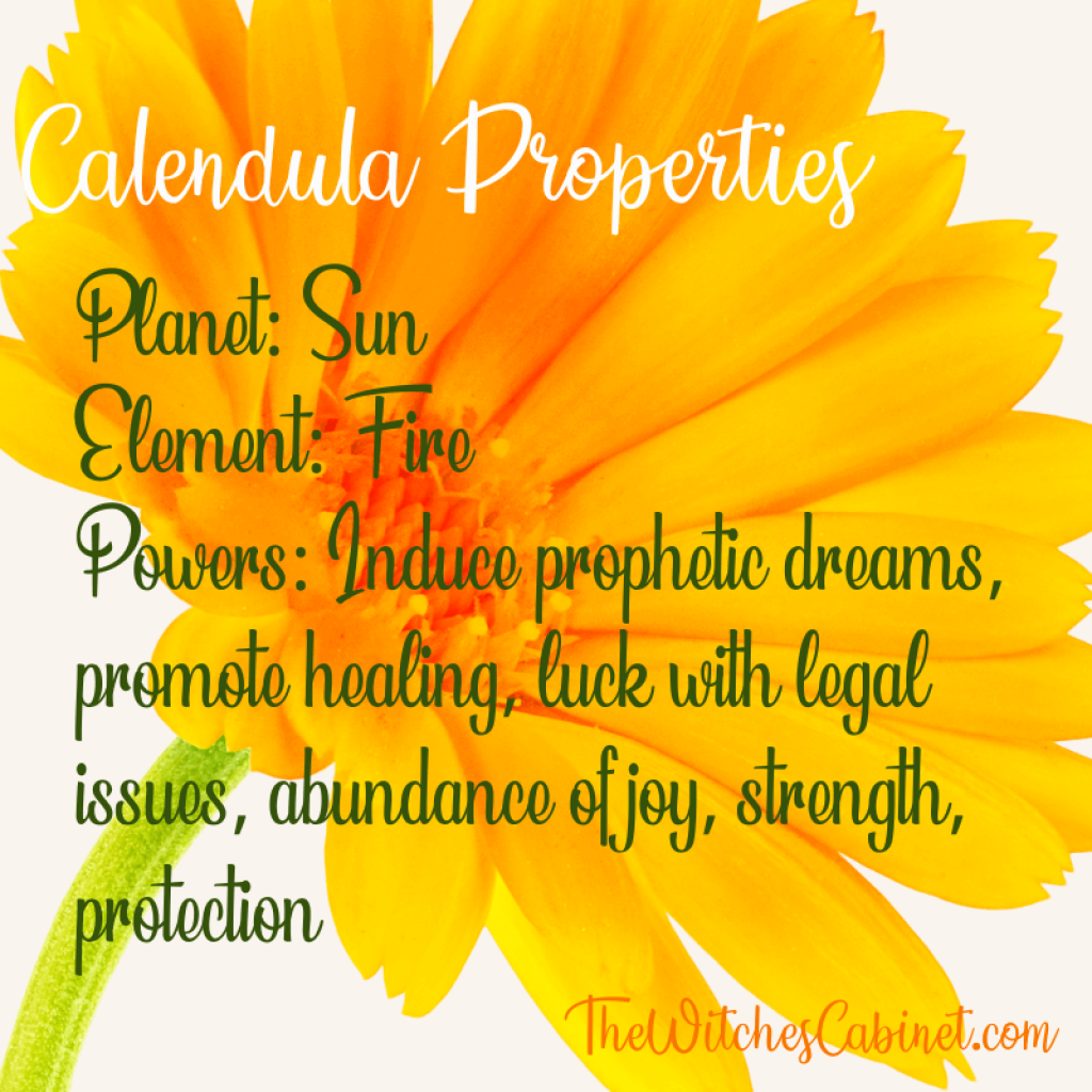 Calendula magical properties