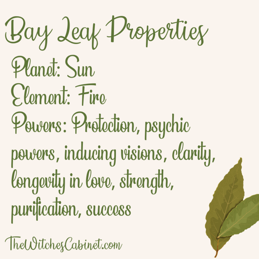 Bay leaf magical properties