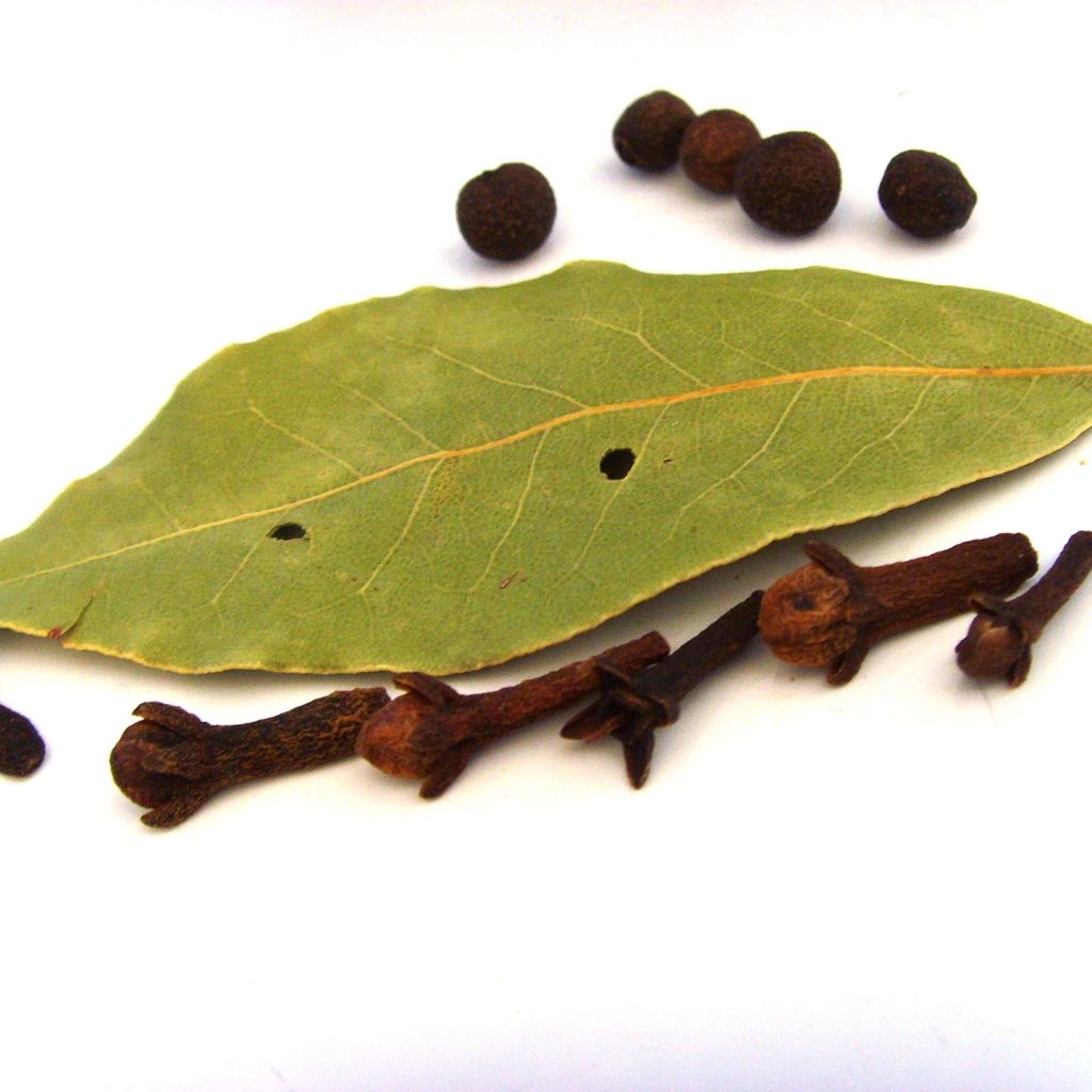 Bay leaf magical properties include psychic abilities, protection, and love