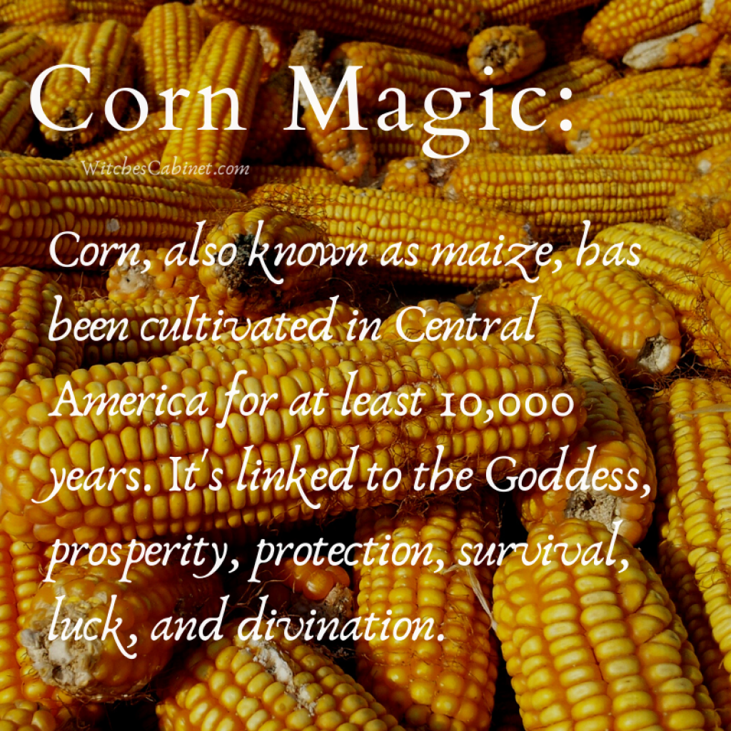 Corn magic properties