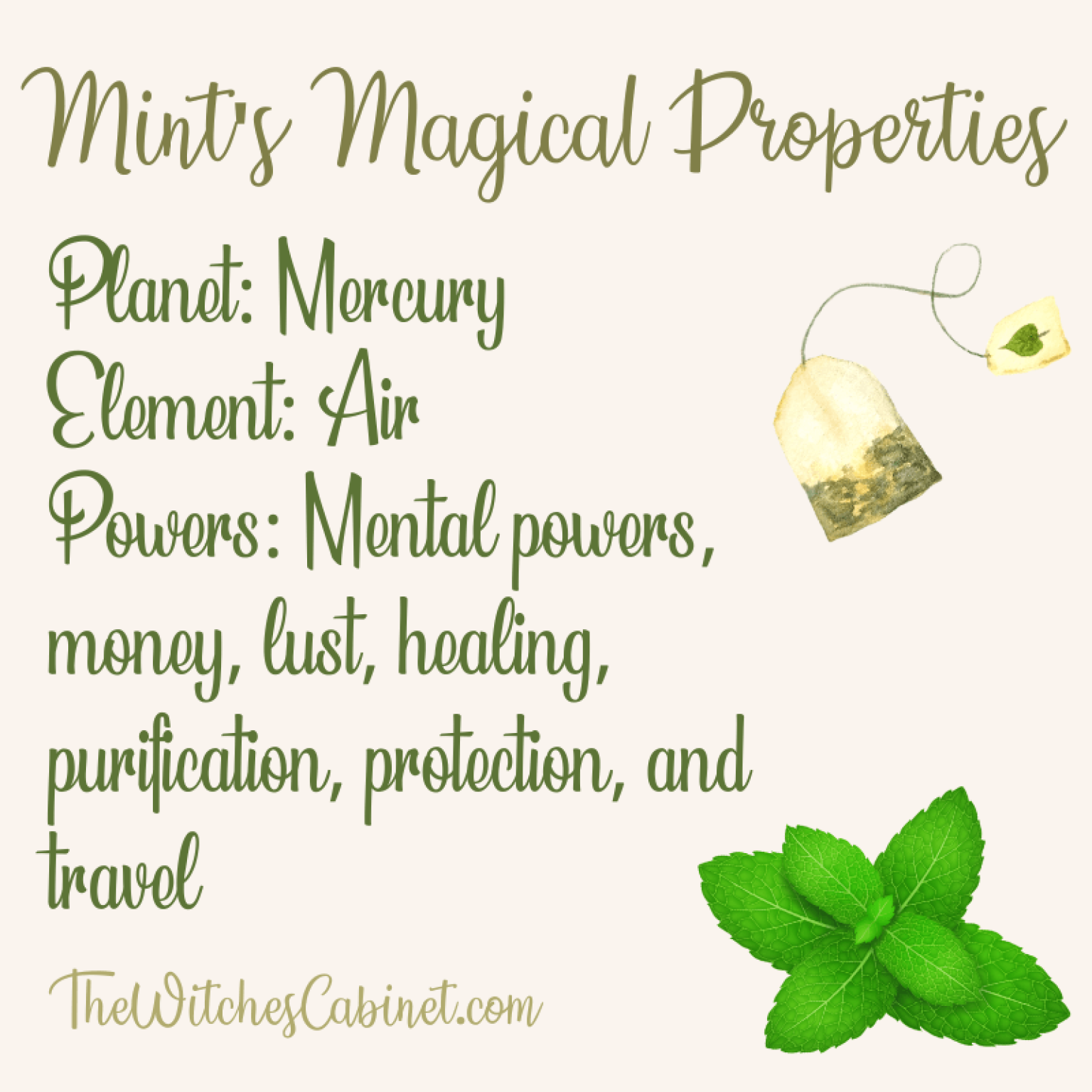 Mint Magical Properties, Medicine, and POWERFUL Witchy Uses