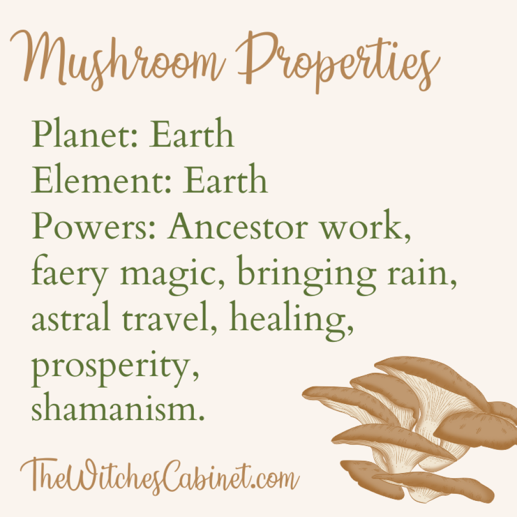 Mushroom magic properties