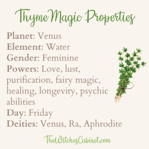 Thyme Magical Properties, Witchy Uses, and Health Benefits