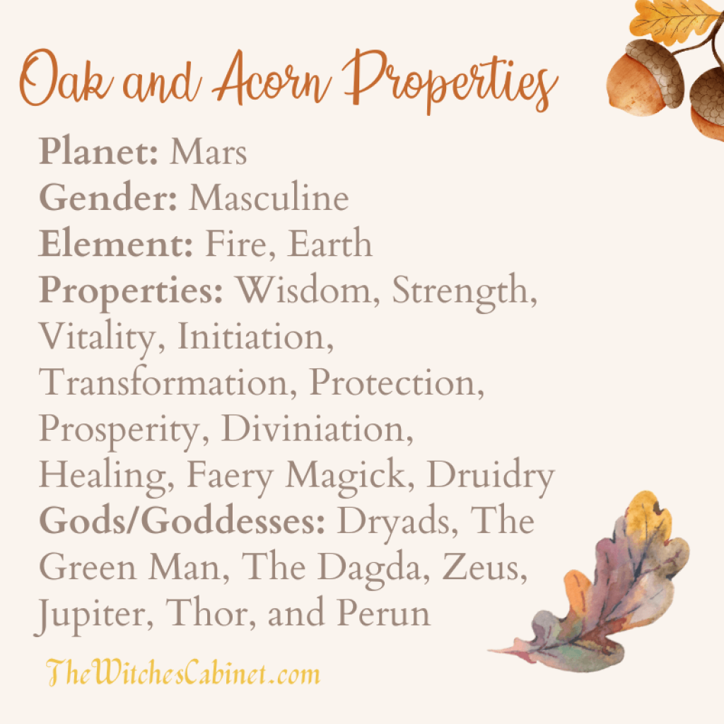 Oak and Acorn Magic Properties