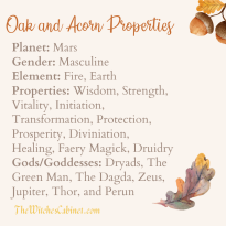 Acorn Magic, Oak Wisdom: Secrets of the DRUIDS and Witches