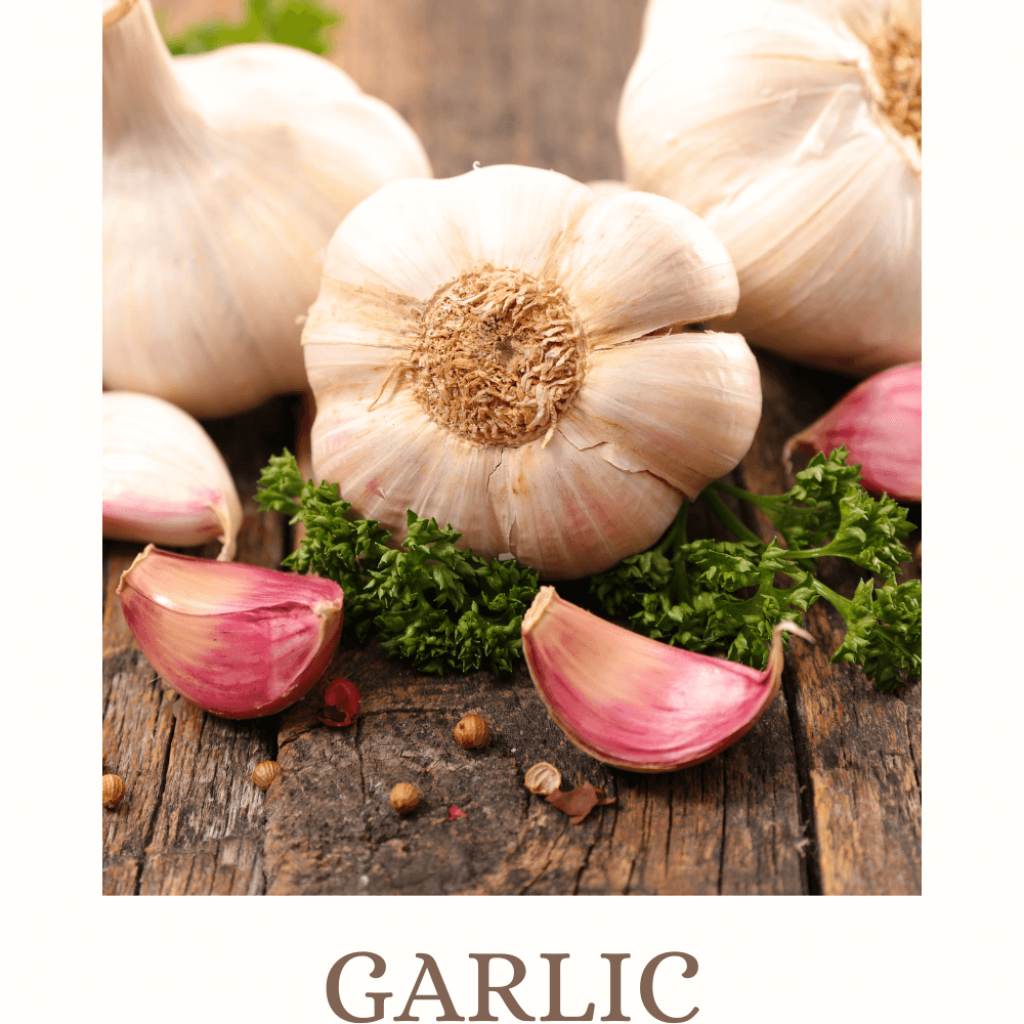 garlic magical properties and uses in magic and medicine