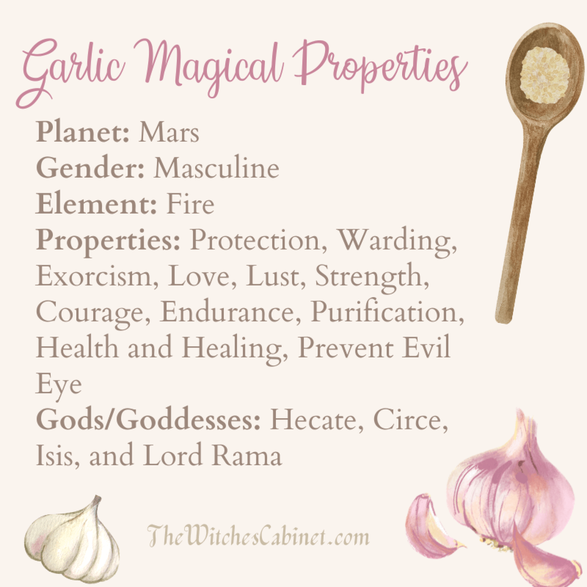 Garlic Magical Properties and Witchy Uses in Food & MAGICK