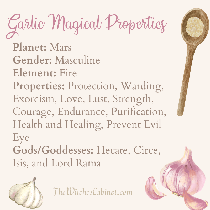 Garlic Magical Properties and Witchy Uses in Food & MAGICK