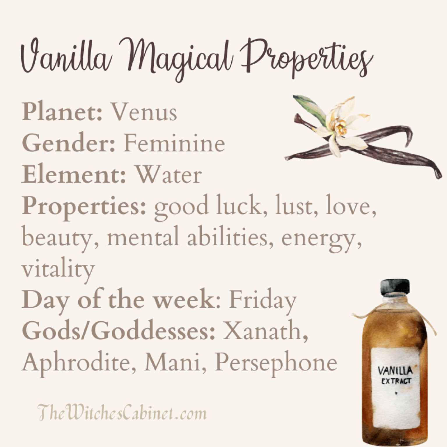 Vanilla Magical Properties And ENCHANTING Kitchen Witch Uses