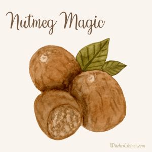 Nutmeg Magical Properties and Ritual Uses