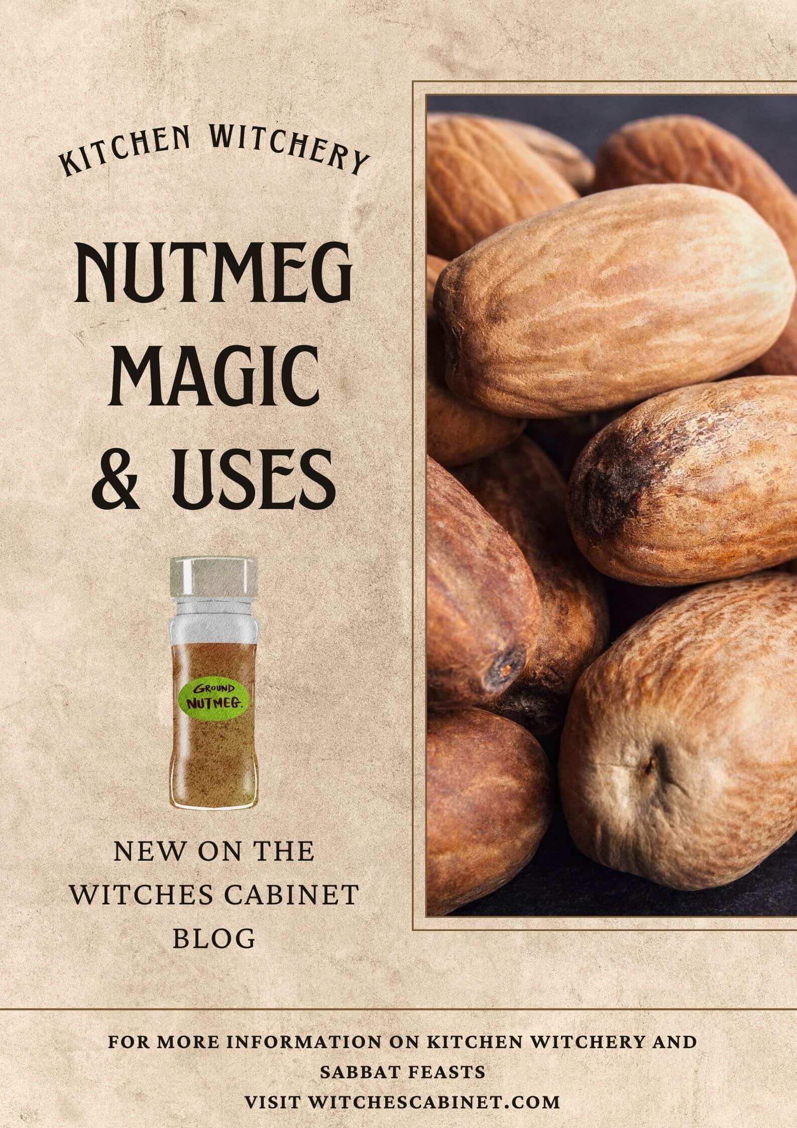 Nutmeg magical properties and witchy uses