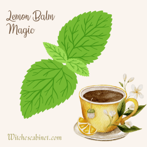 Lemon Balm Magical Properties