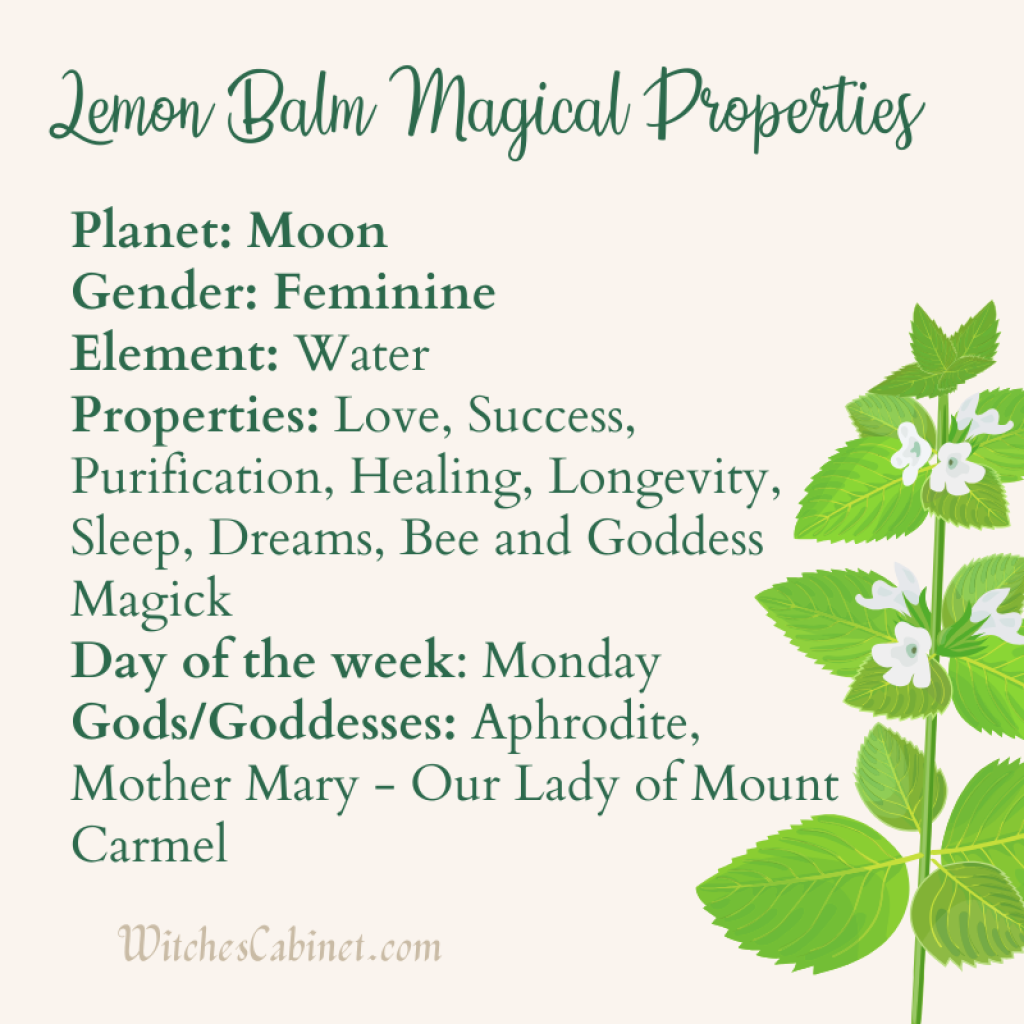 Lemon Balm Magical Properties