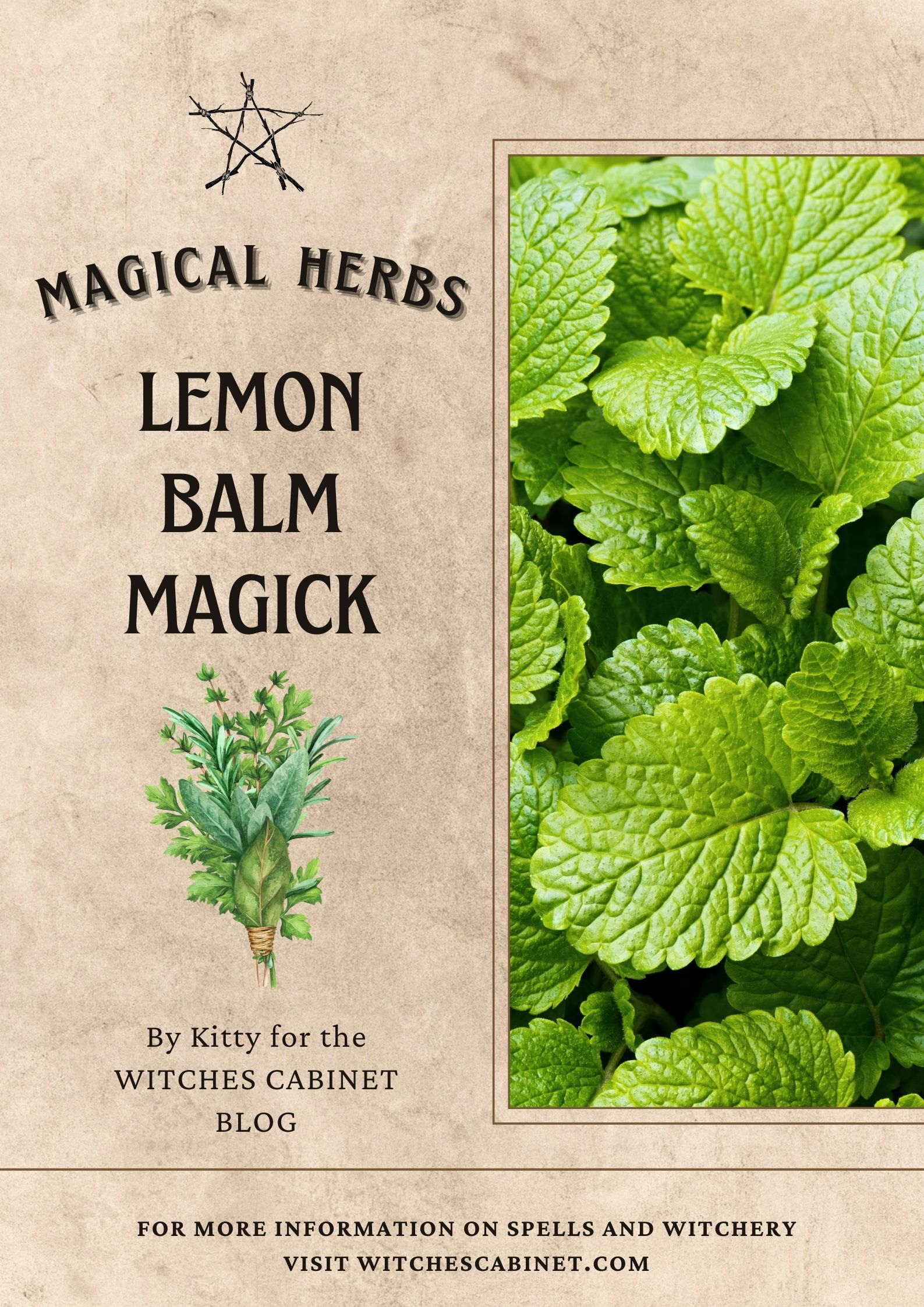 Carmelite Water and Lemon Balm Magical Properties