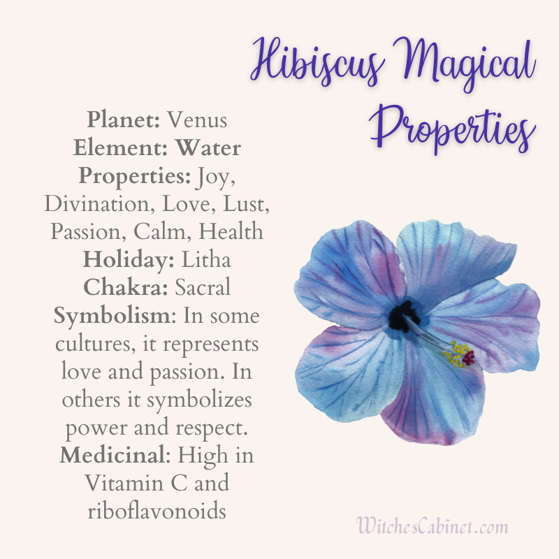 Hibiscus Magical Properties List